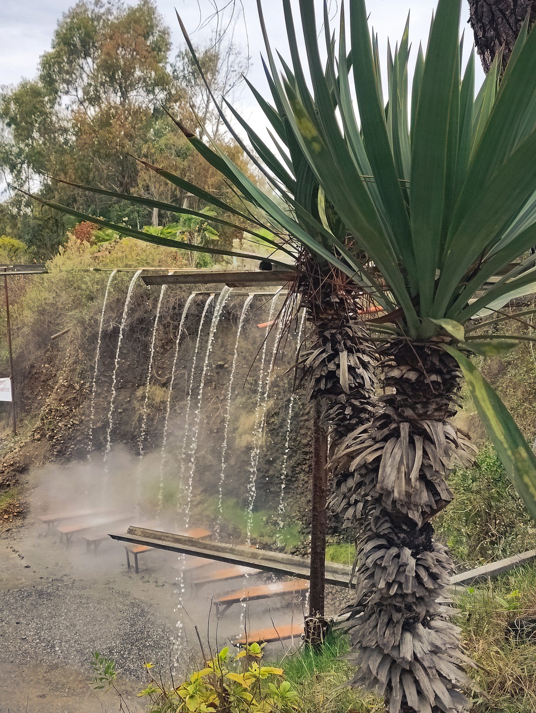 Очень все понравилось! Хороший маршрут, и природу посмотрели и города, проехали почти всю Абхазию. Очень содержательные