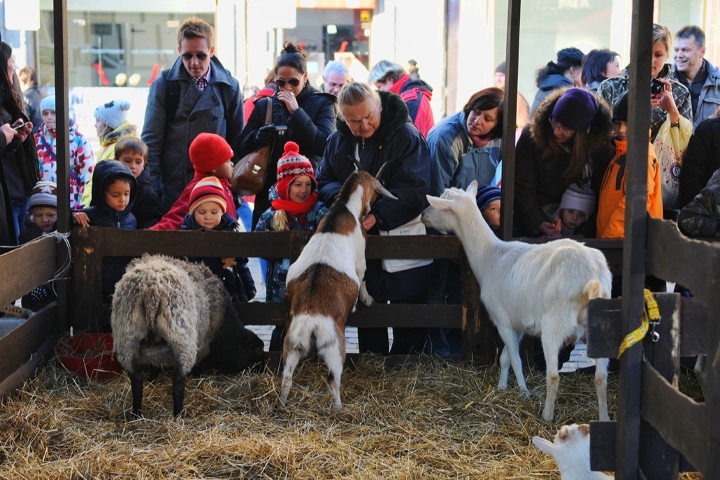 Волшебное Рождество в Праге! (6/7)