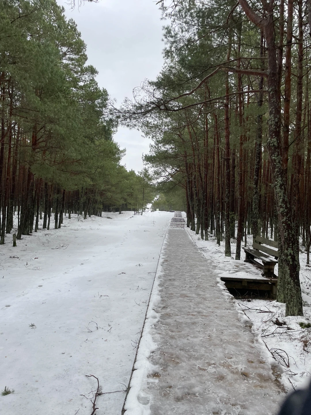 Хотим выразить благодарность за работу 2 января. Когда все ели салаты, мы ехали на Курскую косу с Федором!