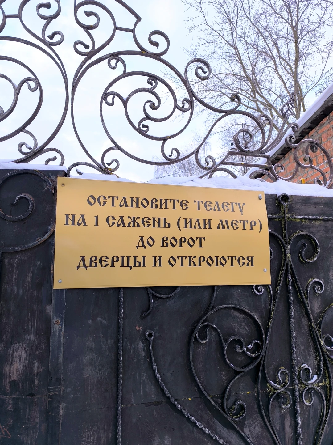 Были на экскурсии 3 января.