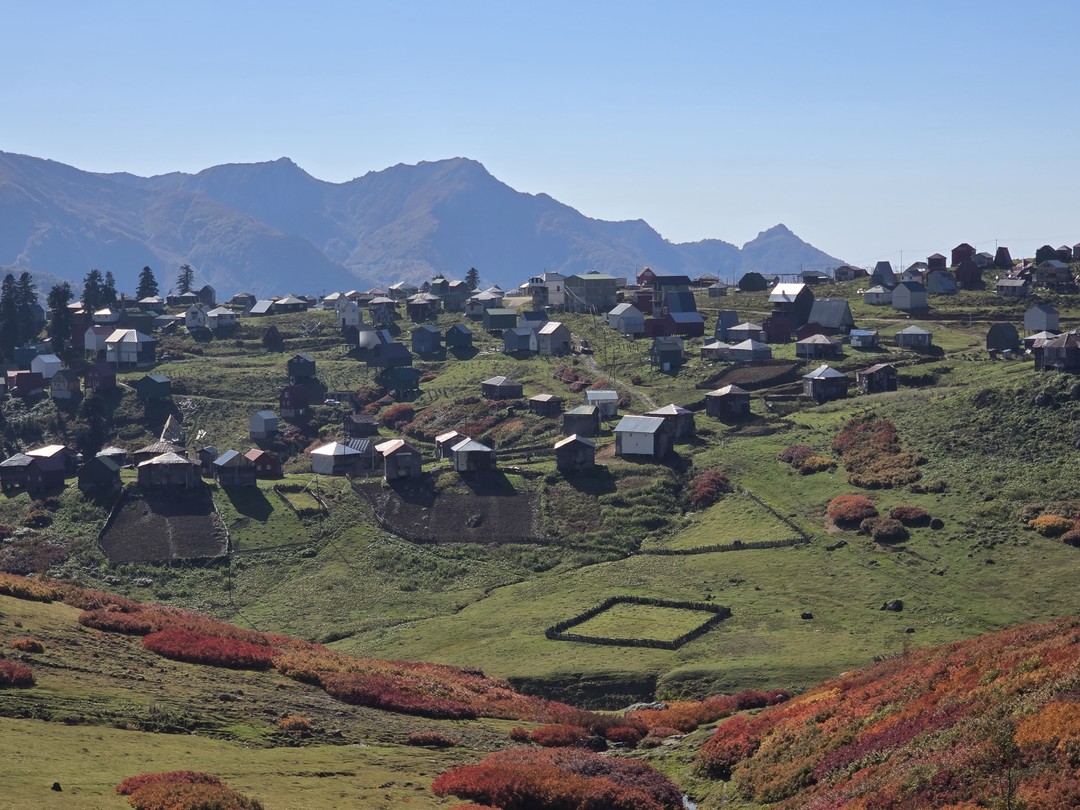 Большое спасибо Зейнаб и её брату Джабе за отличную экскурсию! Гомисмта - невероятное место, красивые виды