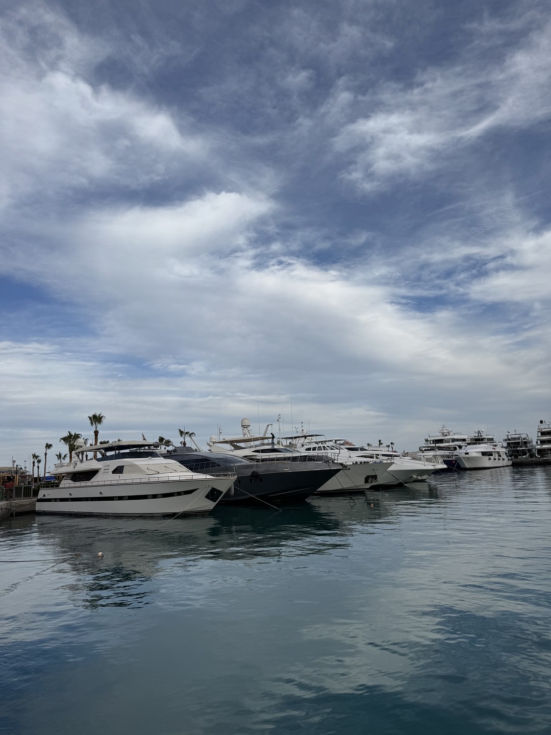 Роскошная экскурсия по наполнению и послевкусию. Гид Екатерина великолепный рассказчик, обладающий энциклопедическими знаниями. Благодаря ей Хургада