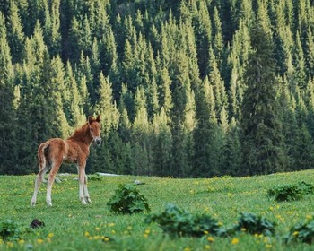 Каньон Сказка, ущелье Джеты-Огуз