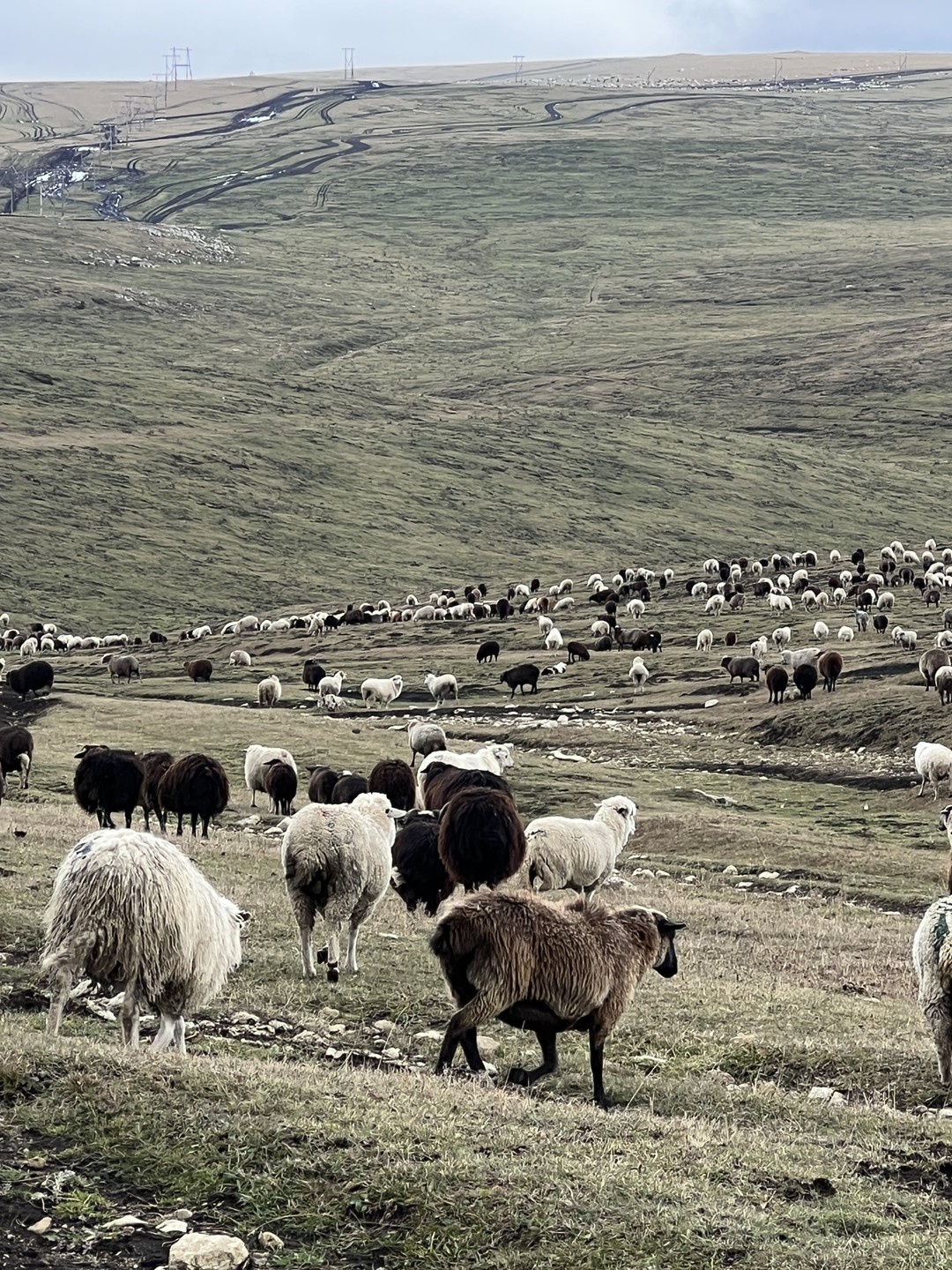 Русская Исландия: к плато Бермамыт из Кисловодска в мини-группе (Татьяна)