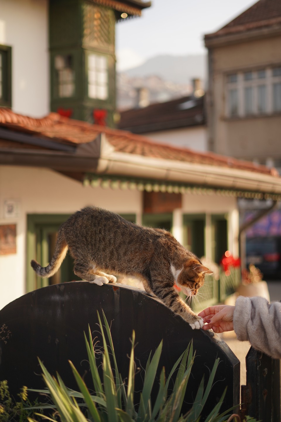 Всё было замечательно! Однозначно рекомендую!