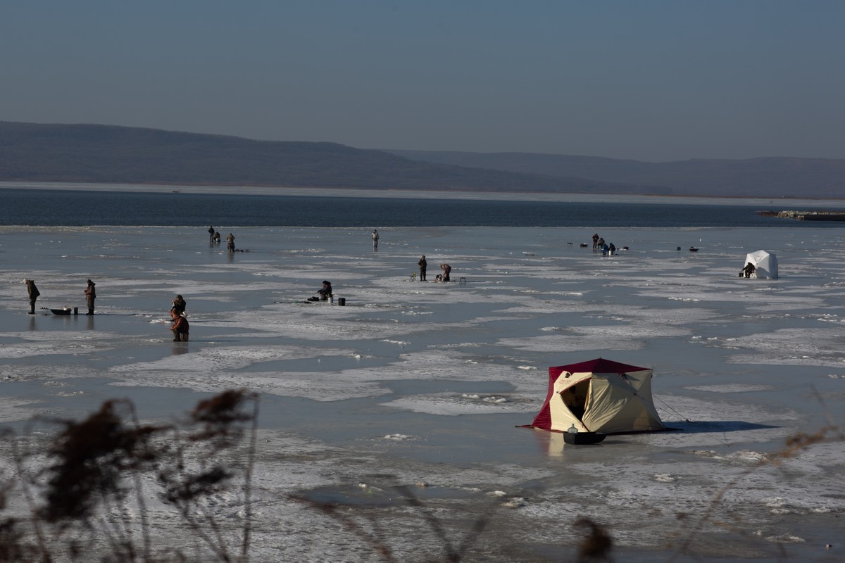 Владивосток и остров Русский: прогулка с фотографом (14/26)