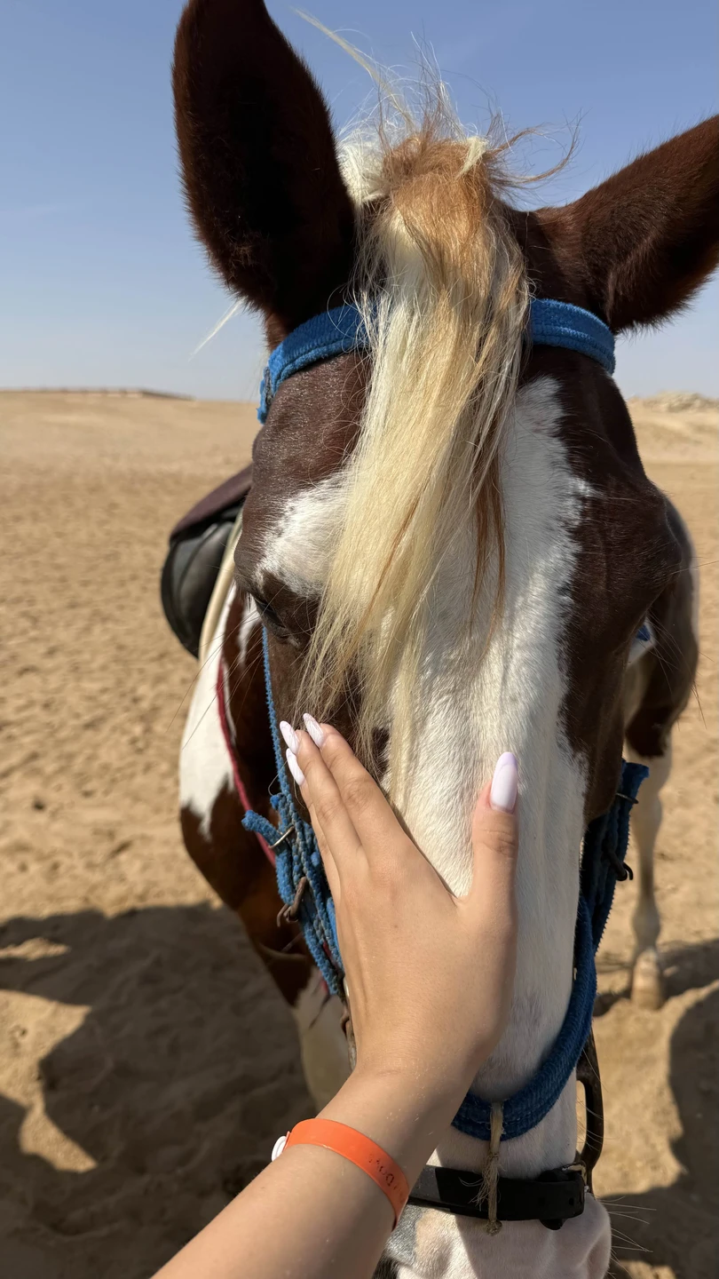 Это была лучшая экскурсия, которую мы брали в Хургаде!