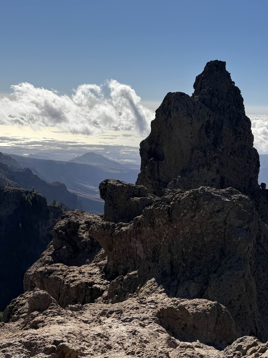 Мы провели чудесный день во время остановки круизного корабля благодаря Вадиму. Он провез нас по острову