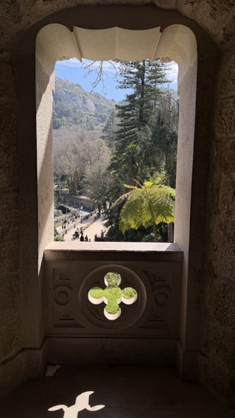 Экскурсия оставила невероятные впечатления! Мы посетили живописные места, где история оживает на каждом шагу. Спасибо Алексею