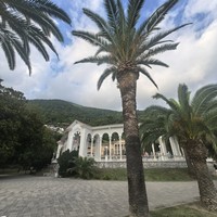 Фото отзыва 1: экскурсия "Душевное путешествие по Абхазии (из Красной Поляны)"