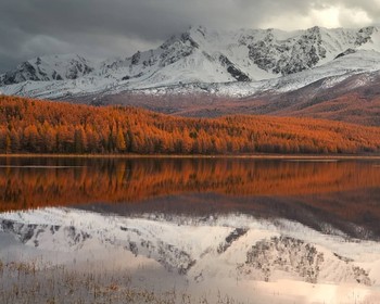 Заповедное озеро, Алтайский Марс, Курайская степь и снежные вершины