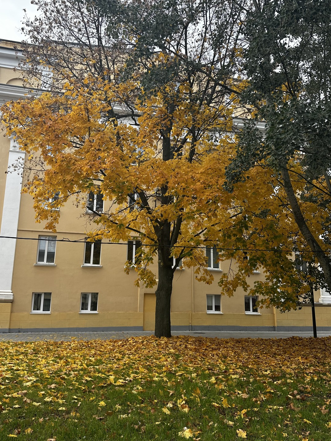 Необычная интересная экскурсия. Инна с душой рассказала о городе и знаменитых выходцах, коих великое множество. Особое