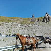 reviews img