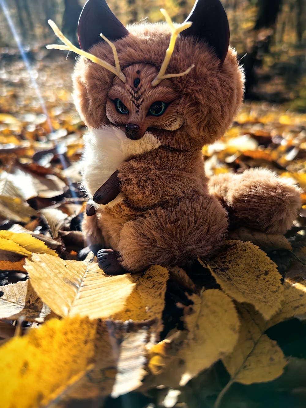 Путешествие с Кико: нескучный треккинг из Сочи в Агурское ущелье (6/20)