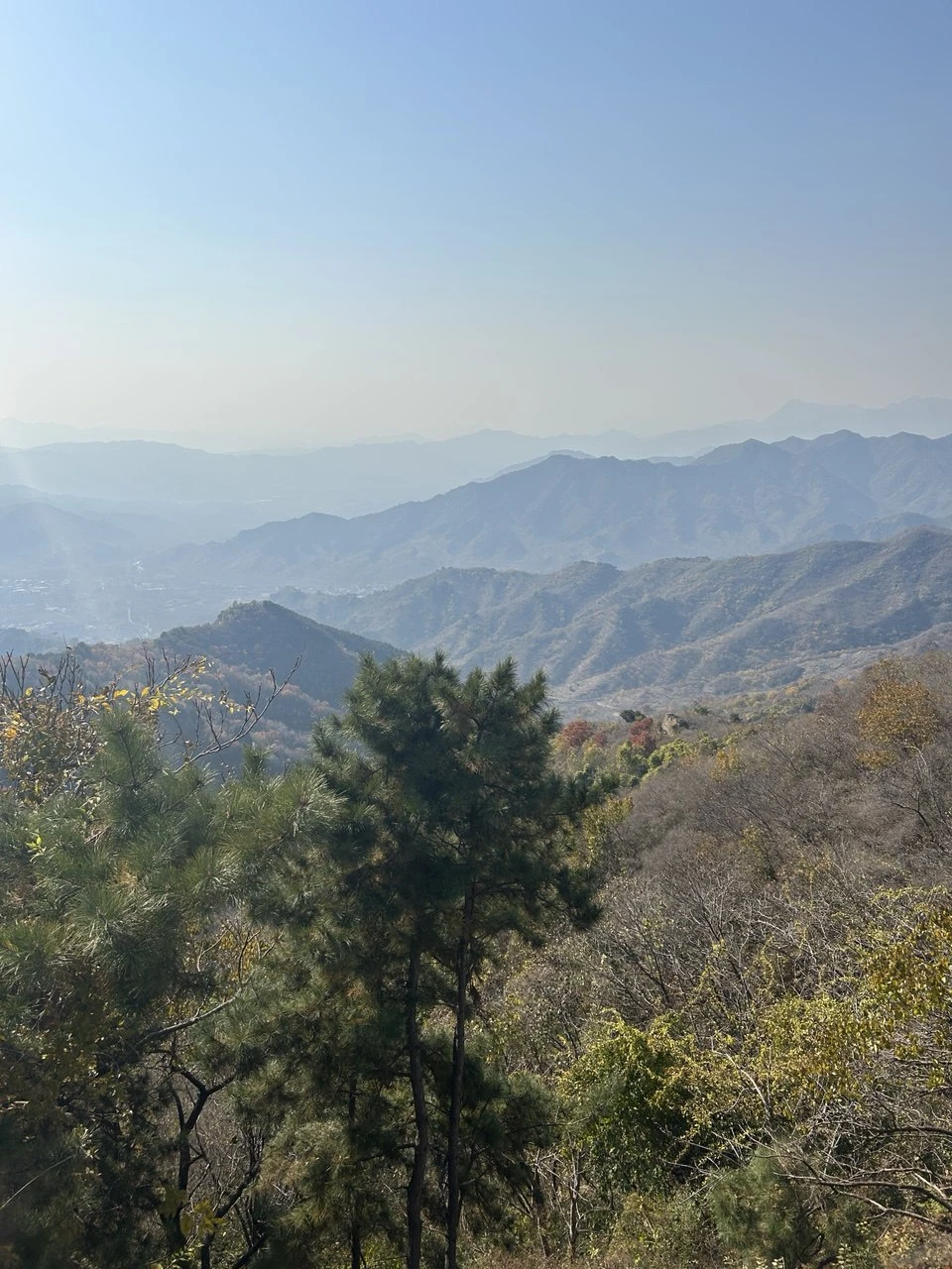 Очень ответственный гид! Надёжный! Отлично знает историю! Подскажет где и что лучше и интереснее. Все договорённости