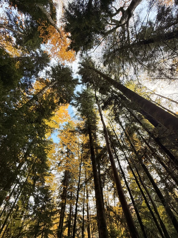 Лаго-Наки и Мезмай за 1 день (из Краснодара)