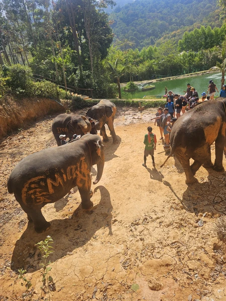 попали на экскурсию со второго раза,но это того стоило. произошло недопонимание между водителем и организатором,поэтому нас