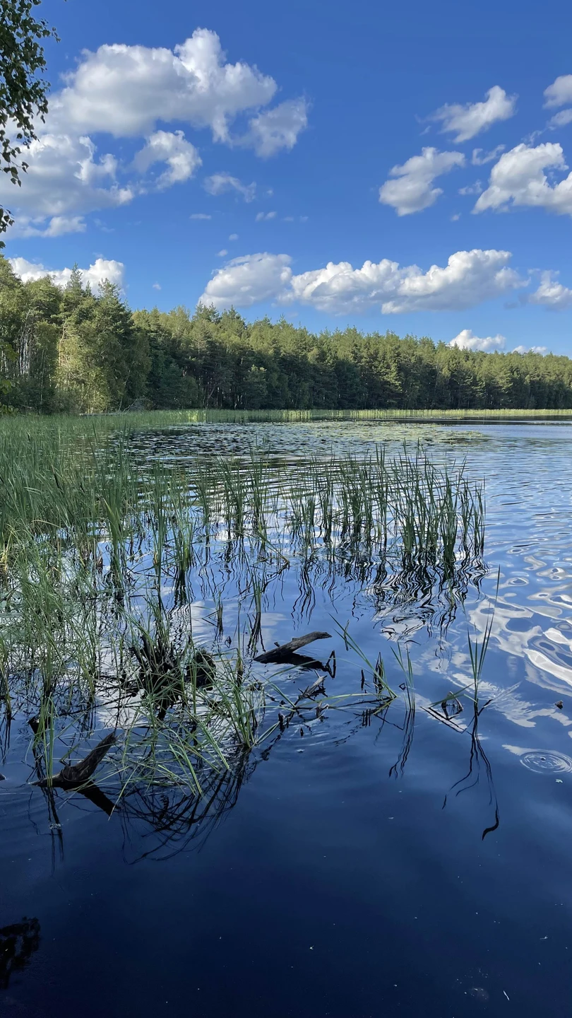 Впервые катались на велосипедах по такой местности. Если вы любите природу, ее ароматы, красоту, то определенно