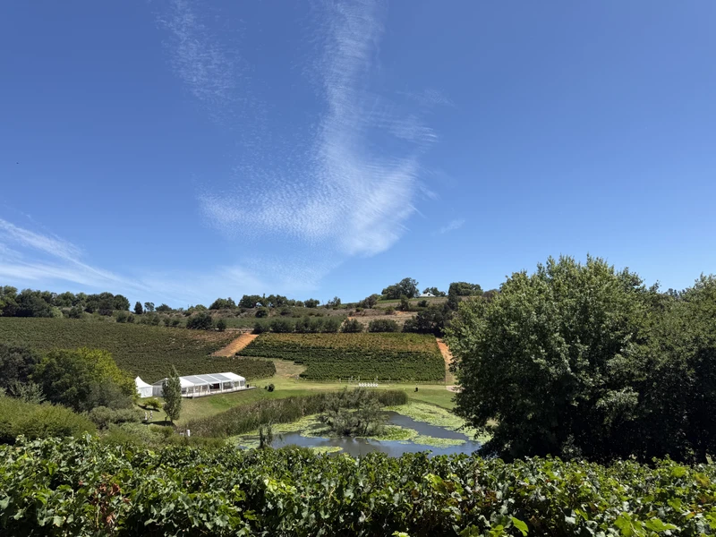 Хотим выразить признательность Виктору за превосходно организованную поездку по винодельням ЮАР. Это очень интересный опыт!