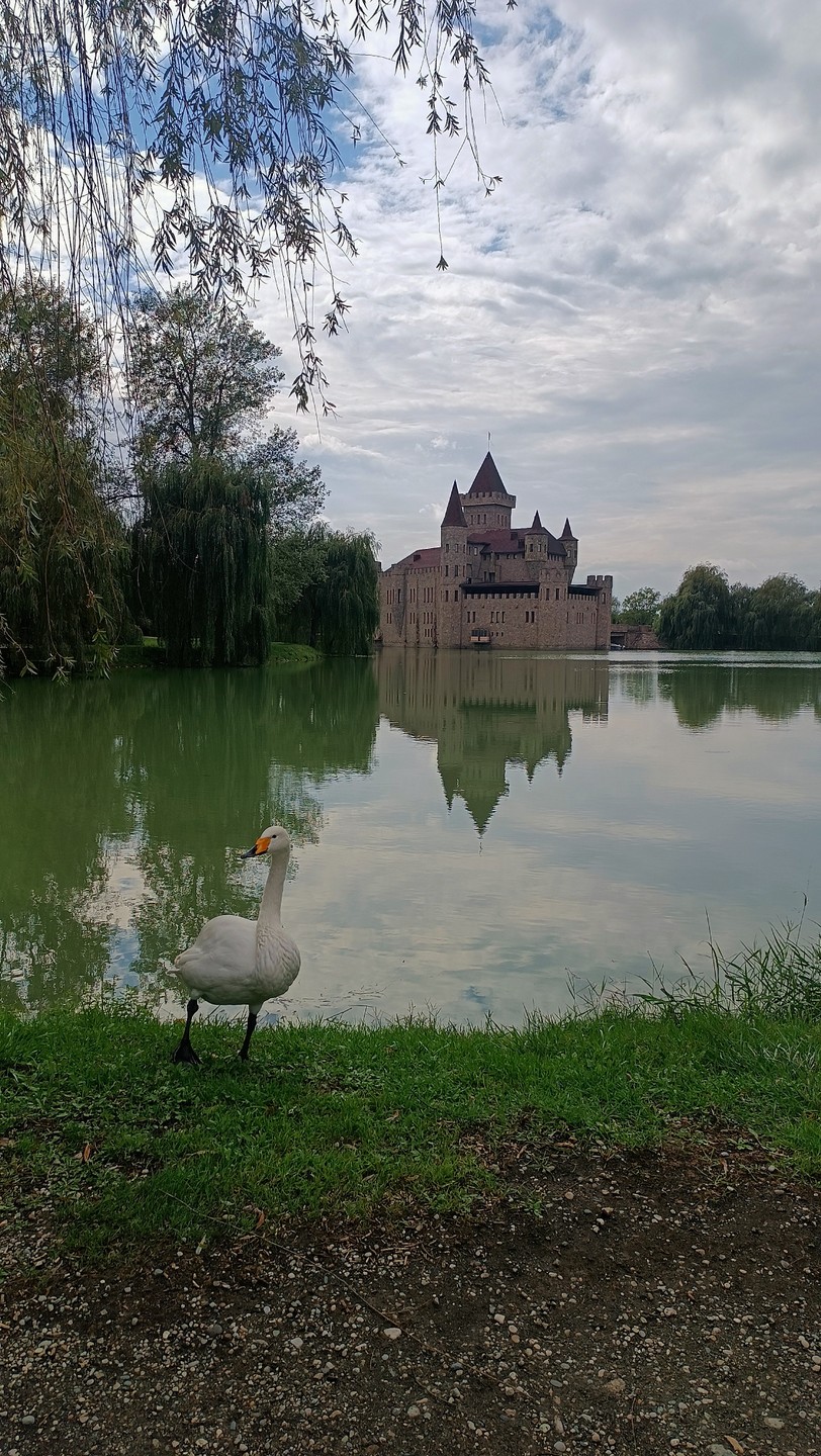 На эту экскурсию я поехала, уже познакомившись с моим гидом Русланом и Альбертом и их командой)