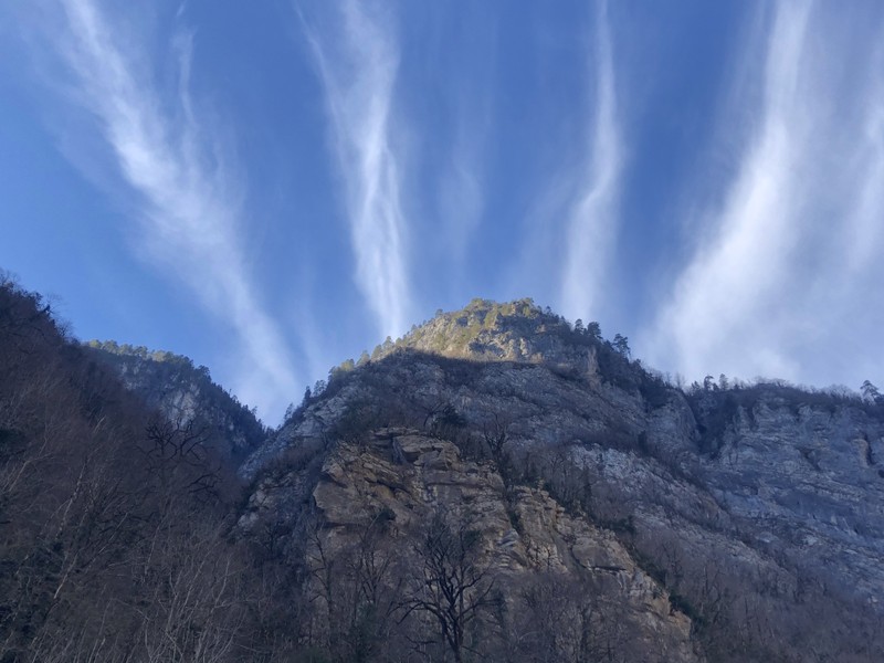 Волшебными дорогами к Рице из Адлера