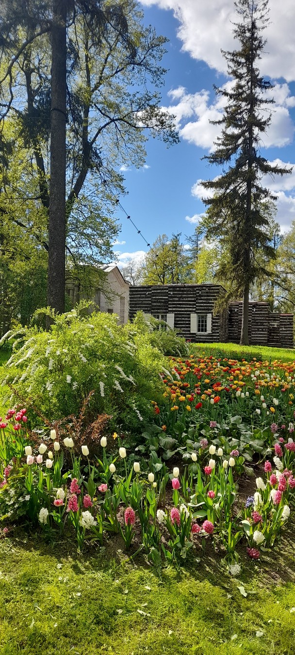 Гатчина: от императорской резиденции до столицы Ленинградской области (11/13)