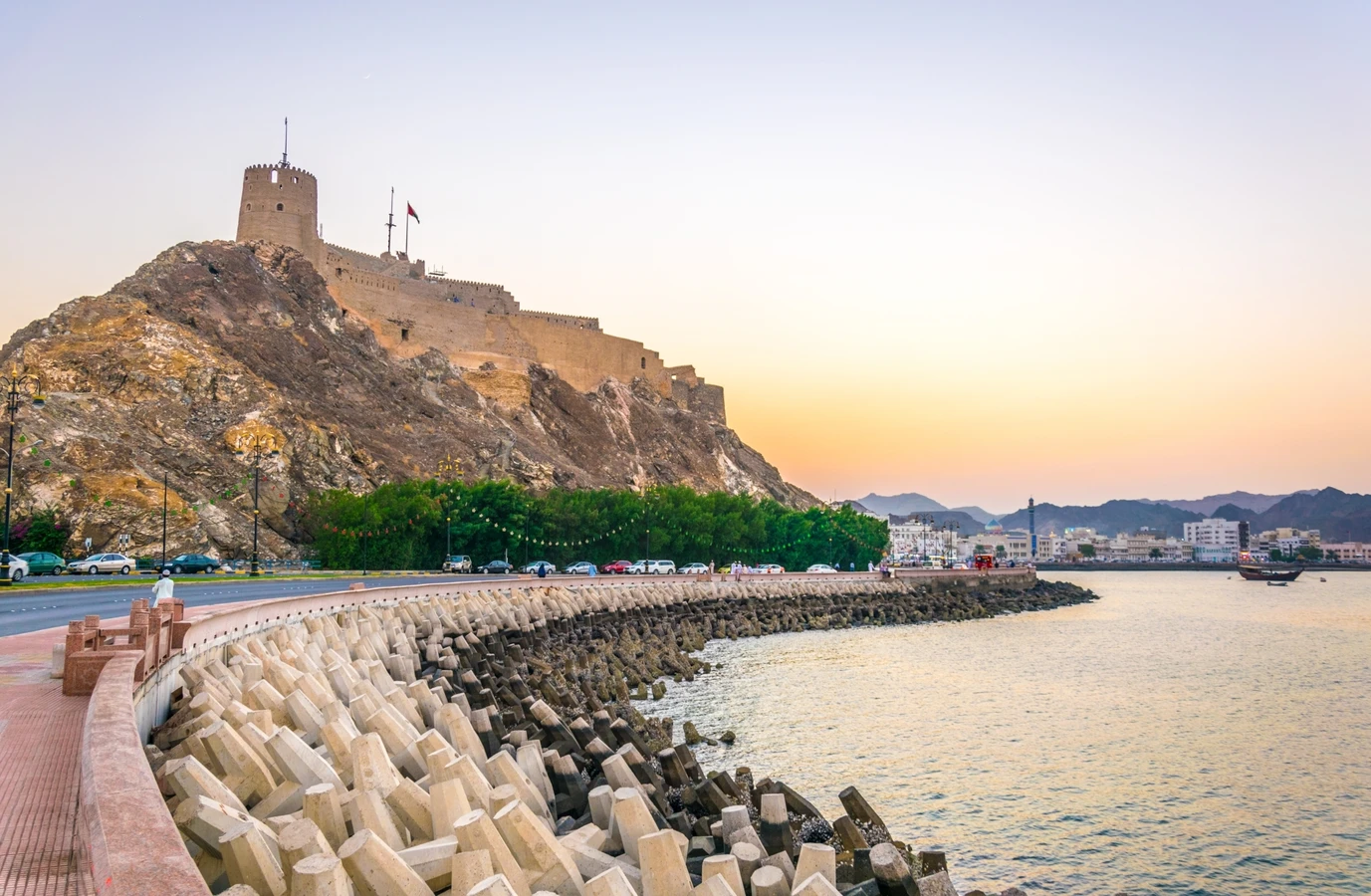 Дельфины, базар и древности в Маскате