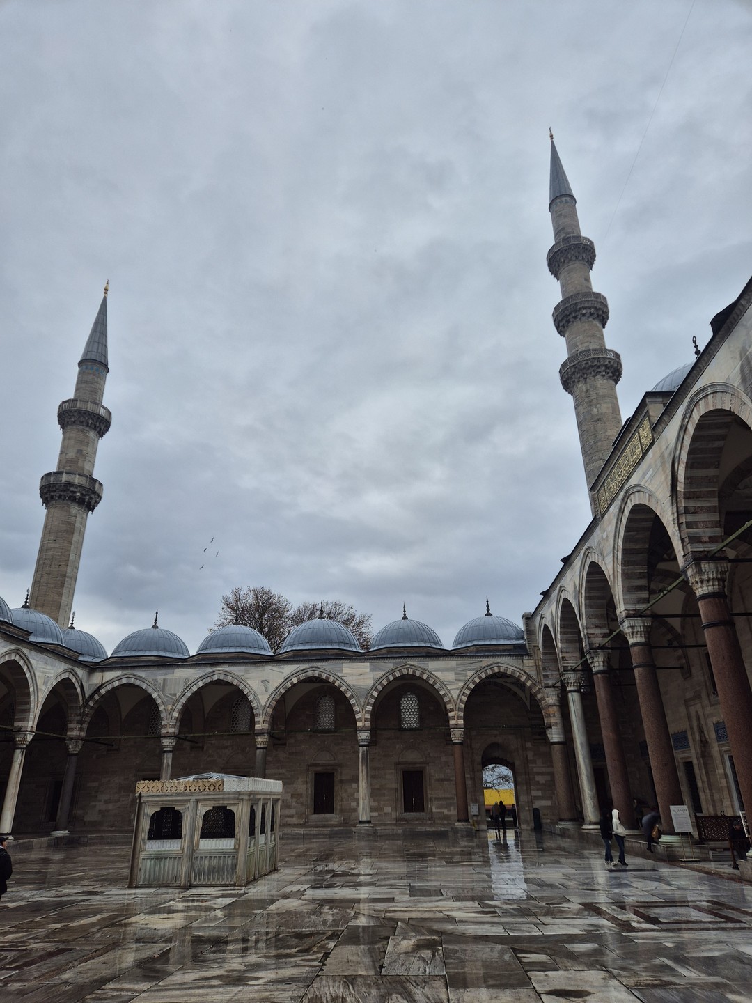 Обзорный Стамбул - самое главное снаружи и внутри (Ольга)