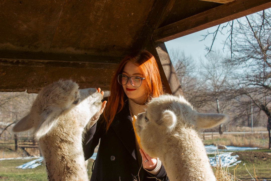 Спасибо большое за отличную экскурсию, гостеприимный прием и положительные эмоции гиду Шахину) Посетили все места без