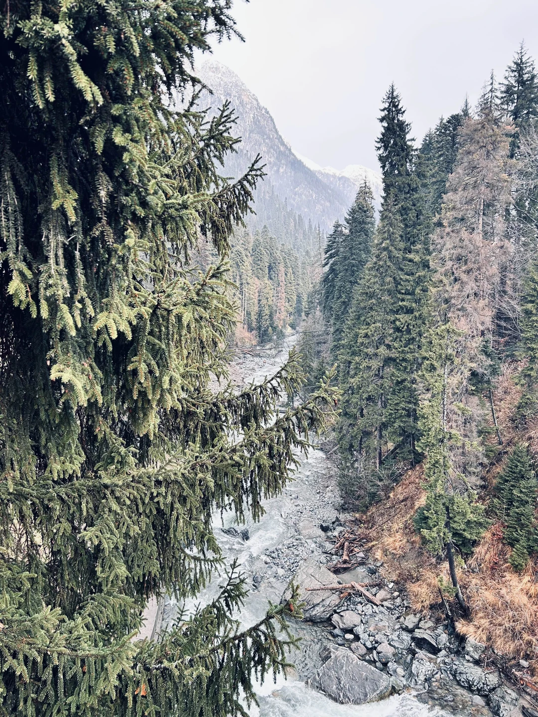 Поездка прошла замечательно! Площадка, организатор, исполнитель - все отработали на отлично!
