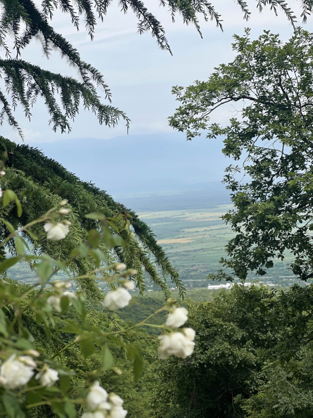 Прекрасная экскурсия, замечательный гид