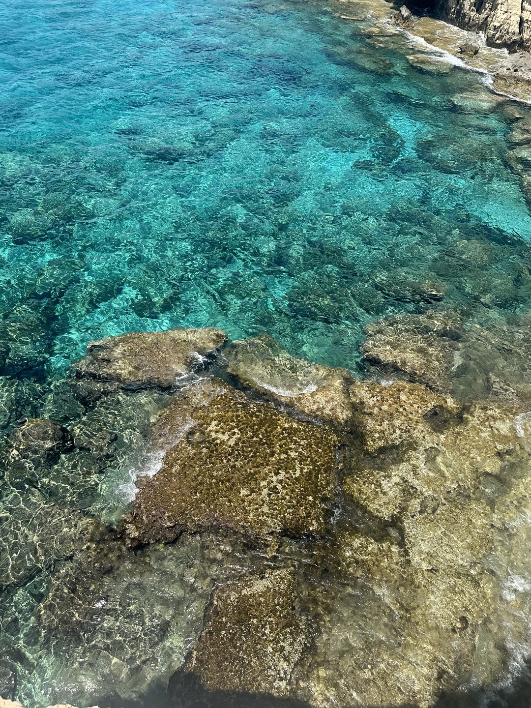 Великолепная экскурсия, очень интересно и приятно слушать. обязательно буду рекомендовать!