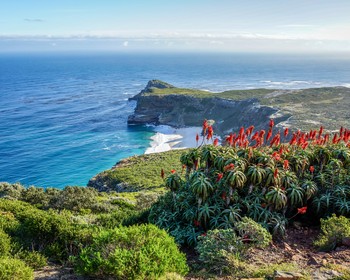 Мыс Доброй Надежды, пингвины и водная прогулка к морским котикам