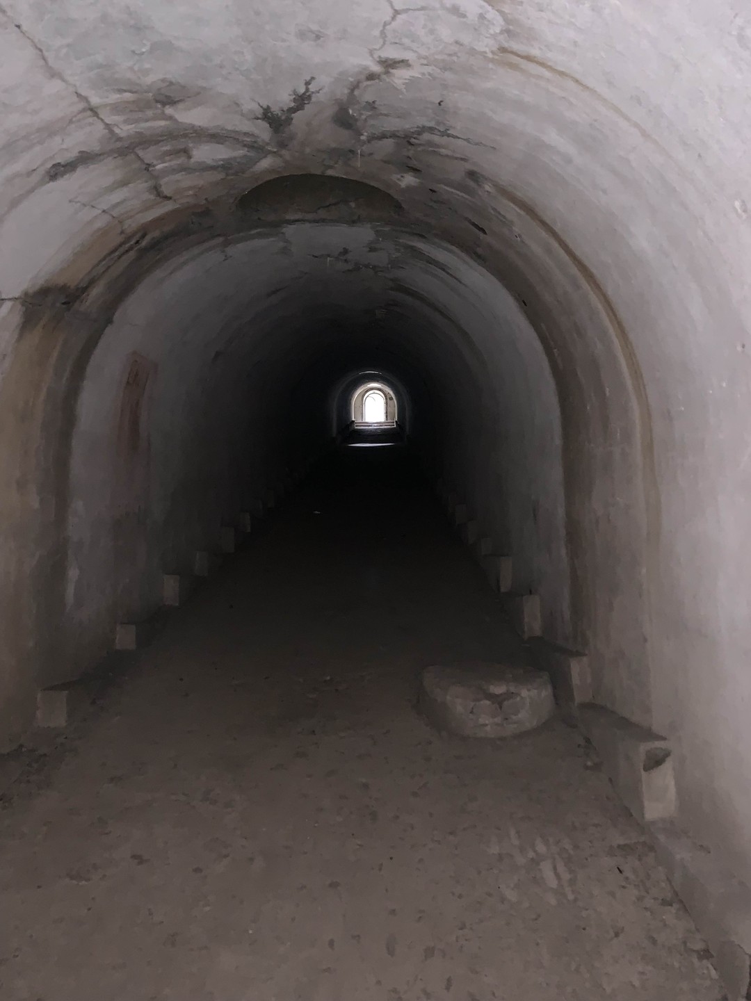 Экскурсия с Екатериной на остров Русский 15 октября 2025 г. была просто великолепной: очень интересно и