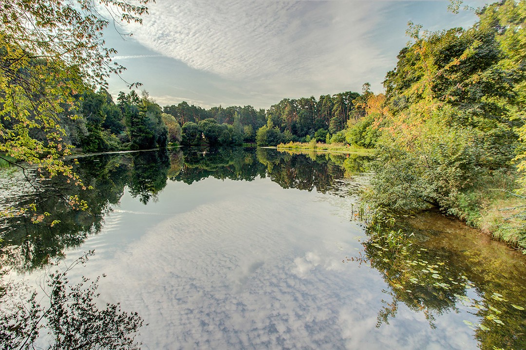 Qiz va buqa jinsiy aloqada bolishadi