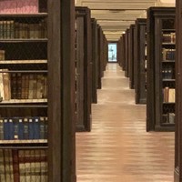 Фото отзыва 1: экскурсия "Болонья ученая, красная, толстая — для детей и их родителей"