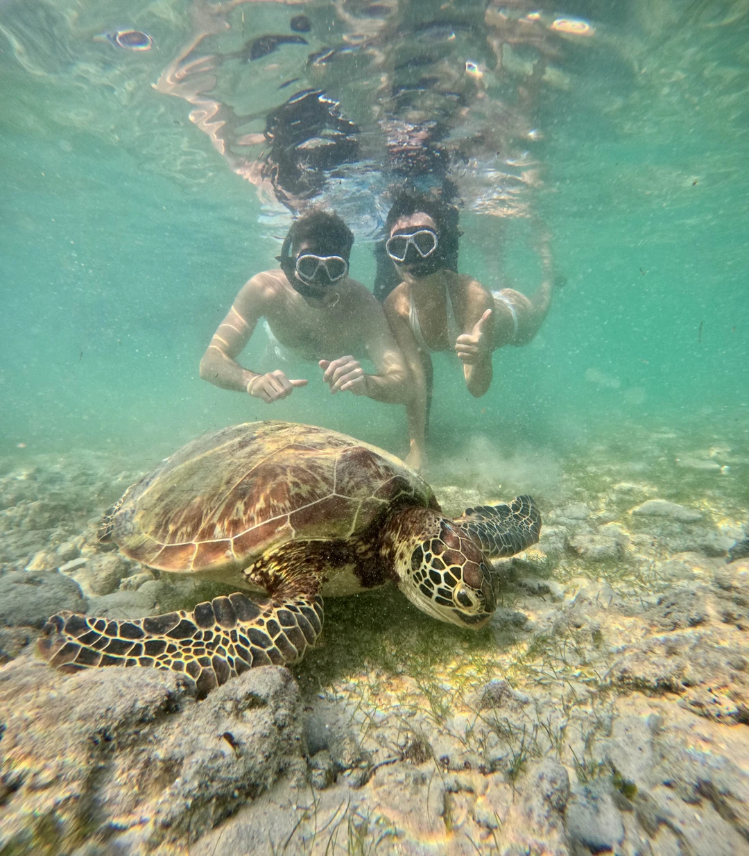 Однозначно рекомендую к посещению! Это был невероятный день, полный эмоций и приключений. Поплавали полноценно с акулами