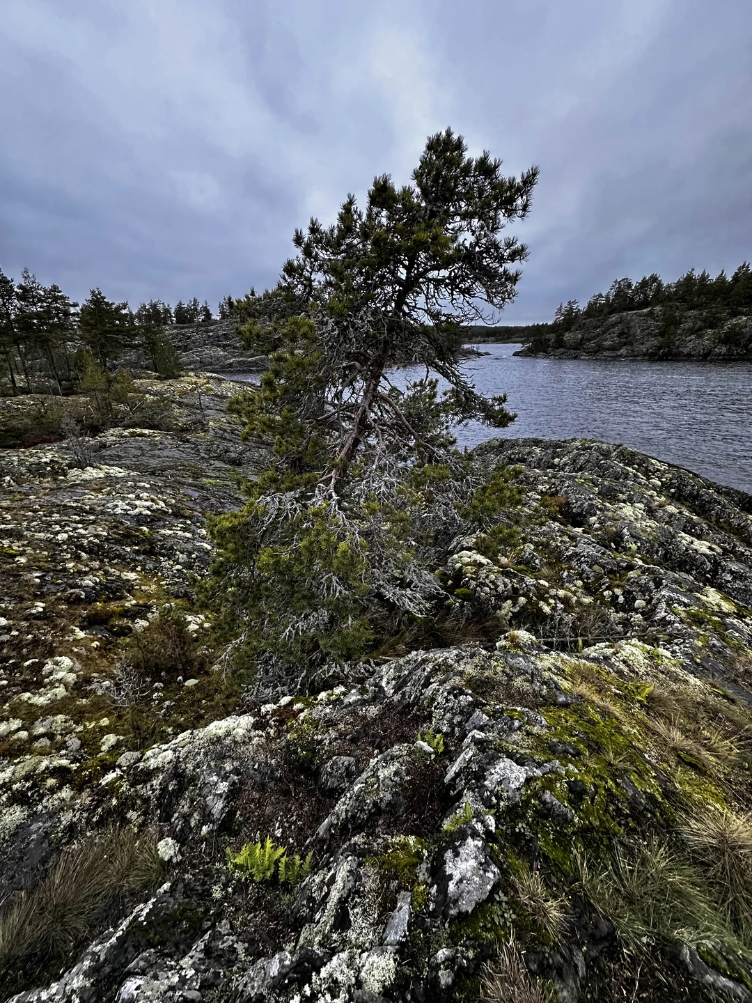 По ладожским шхерам круглый год - на аэролодке (Алексей)