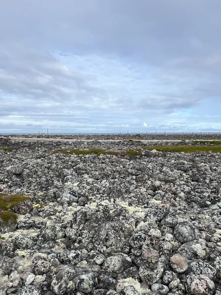 отличные впечатления!