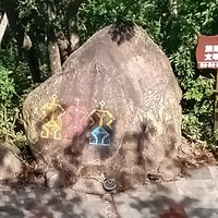 Фото отзыва 1: экскурсия "Знакомьтесь, Санья!"