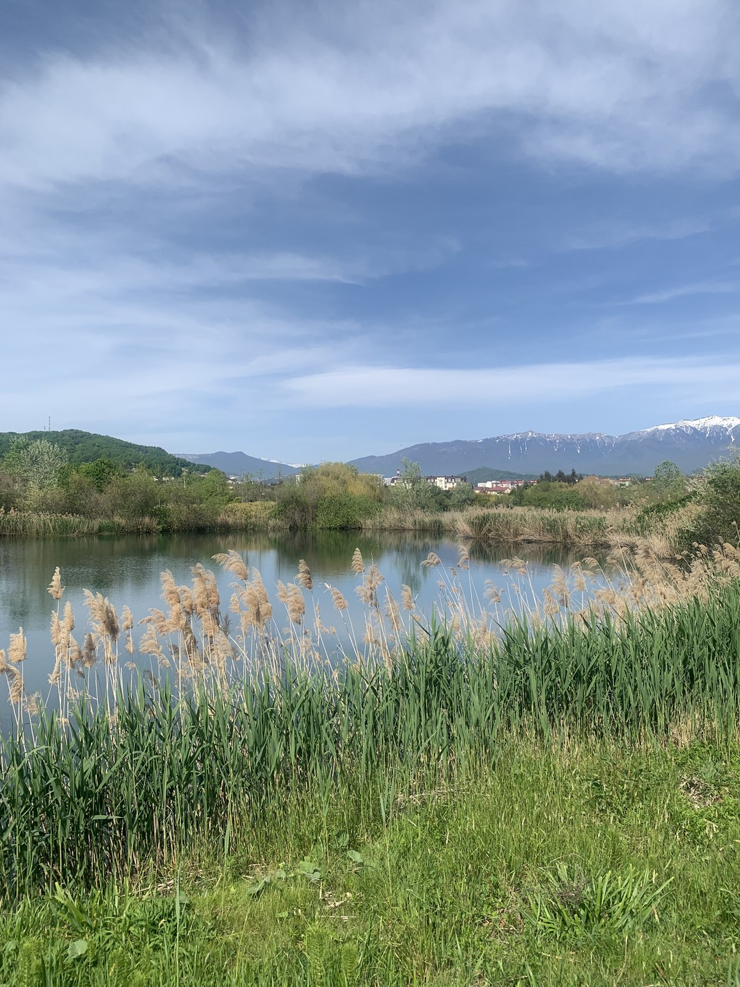 Бёрдвотчинг в орнитологическом парке Сочи (Софья)