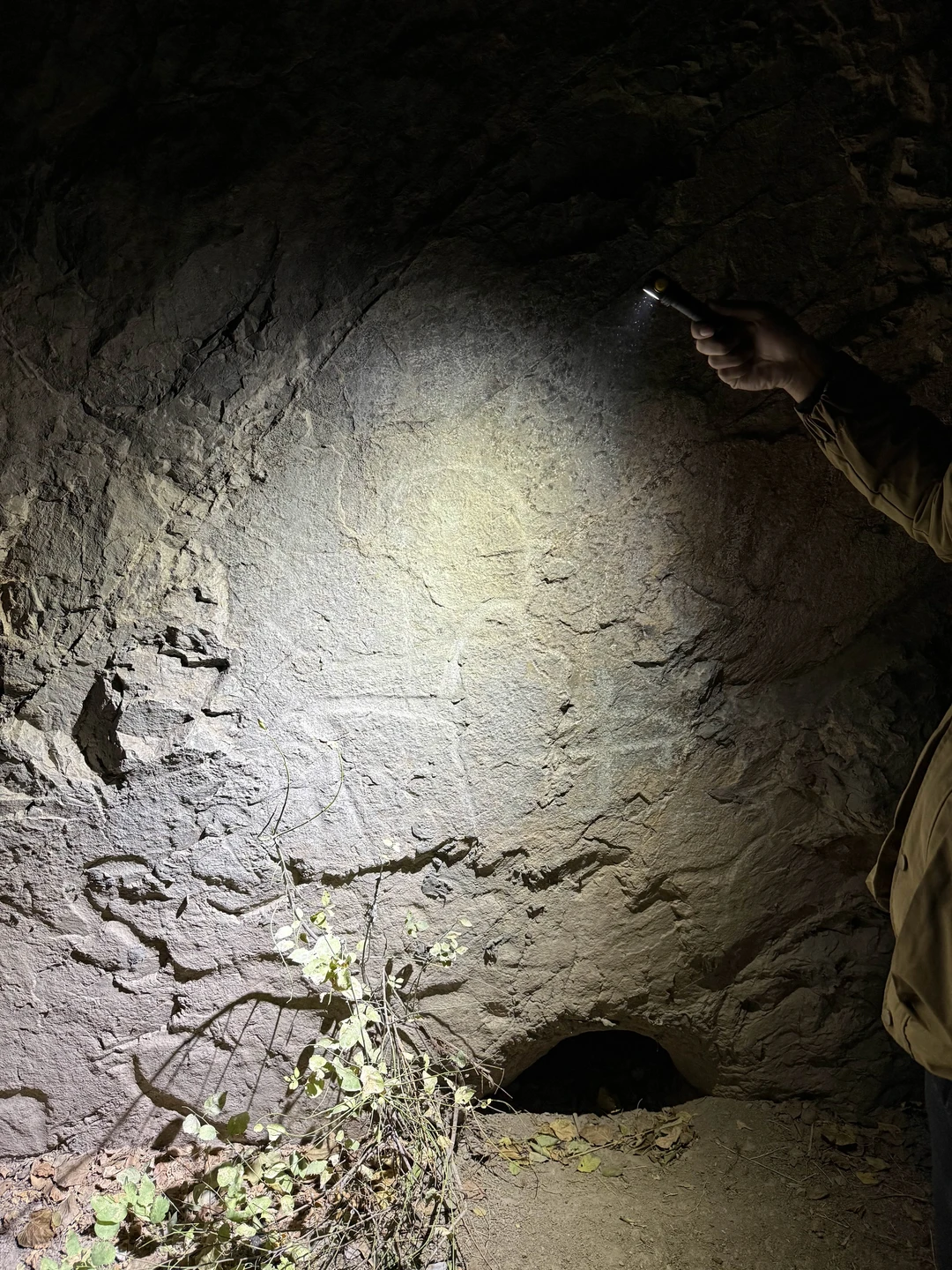 Отличная экскурсия! Посетили множество интересных и красивых мест: * Институт солнца с сопровождающим нас научным сотрудником