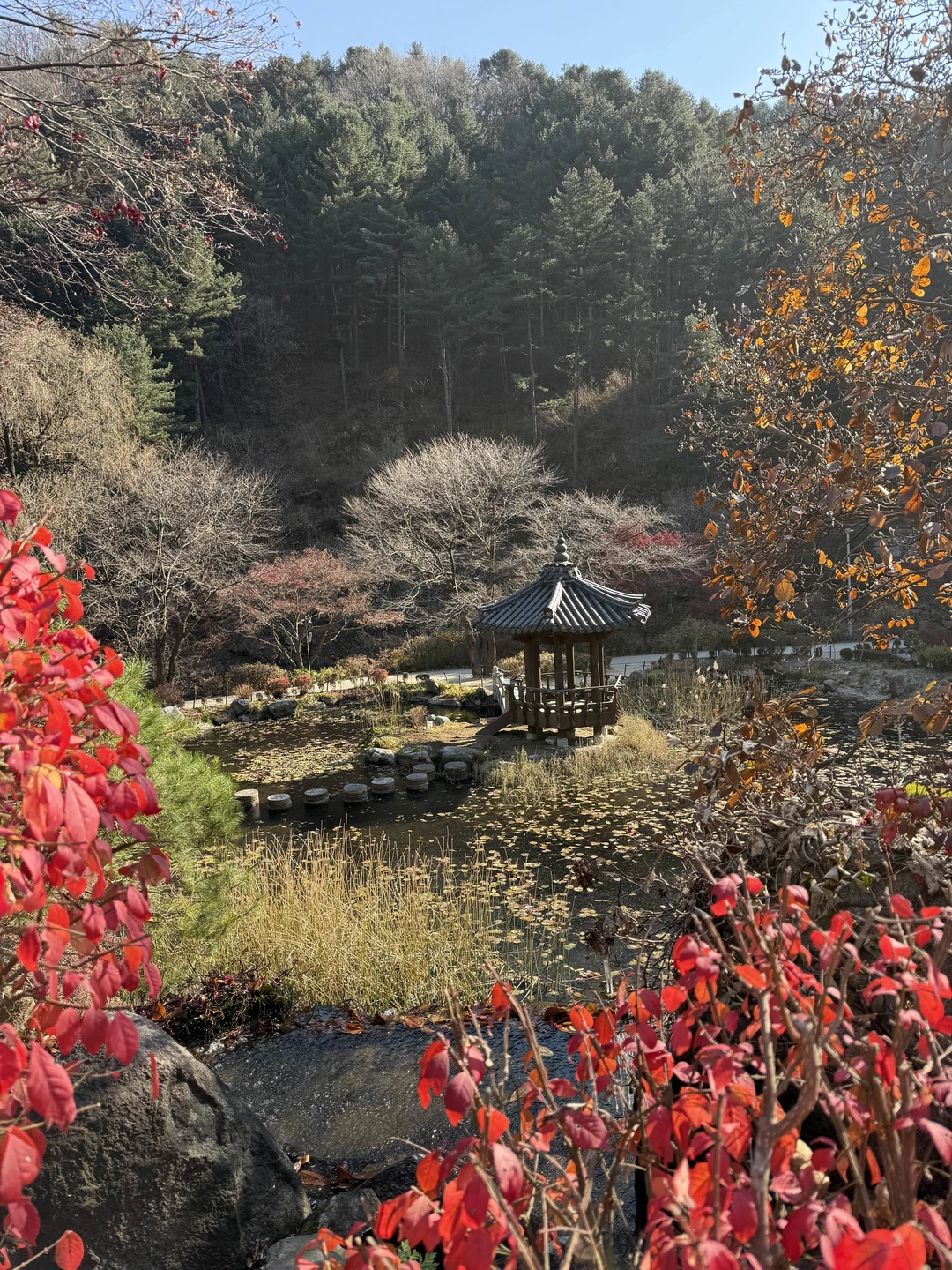 Все понравилось, большое спасибо!