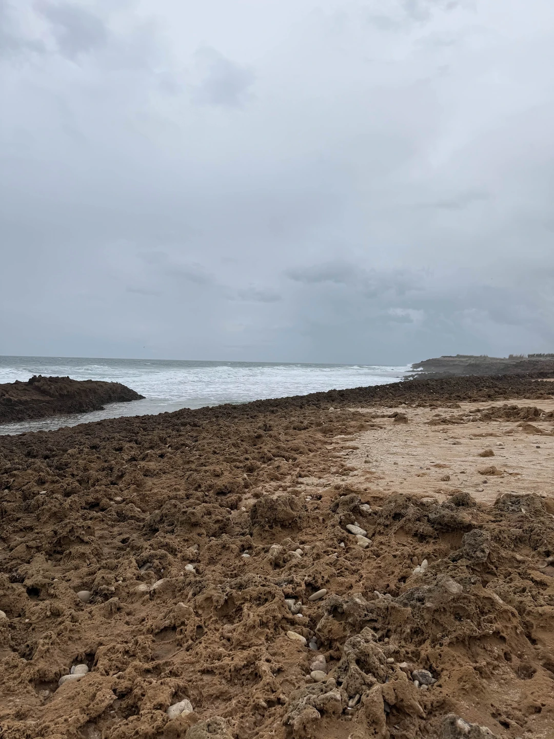 Фатально потрясающая поездка!!