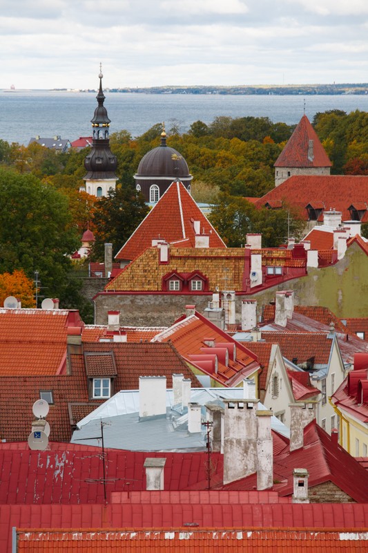 Фотопрогулка по старинному Таллину
