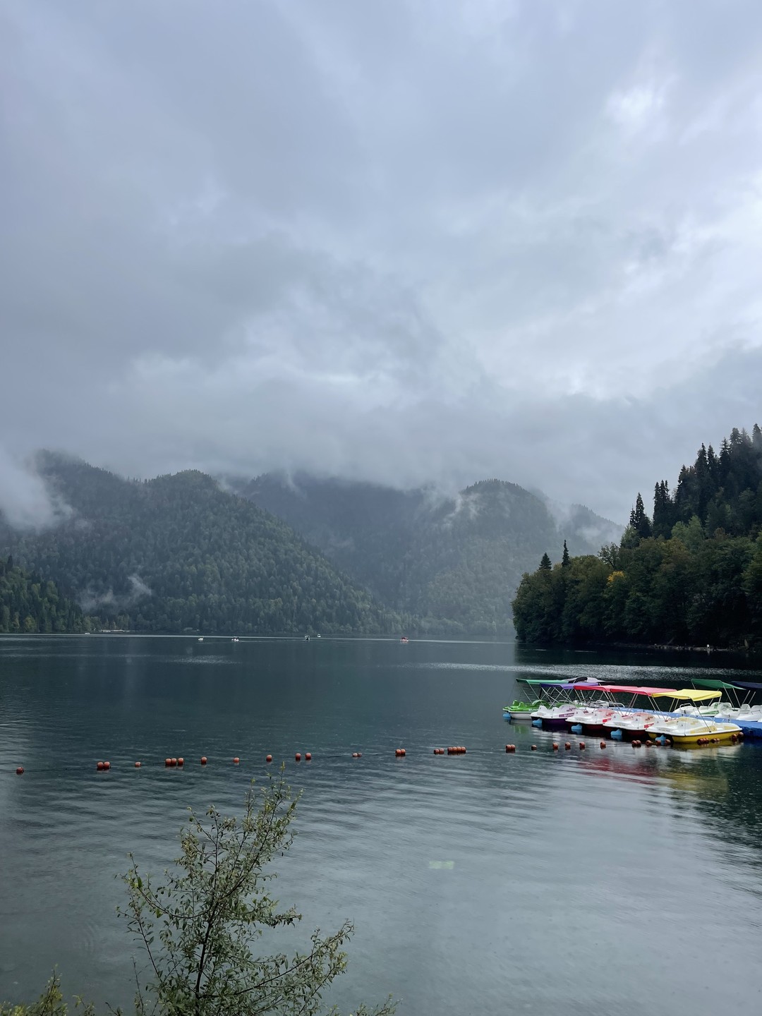 От пальм к заснеженным вершинам: день Абхазии (из Адлера) (Анастасия)