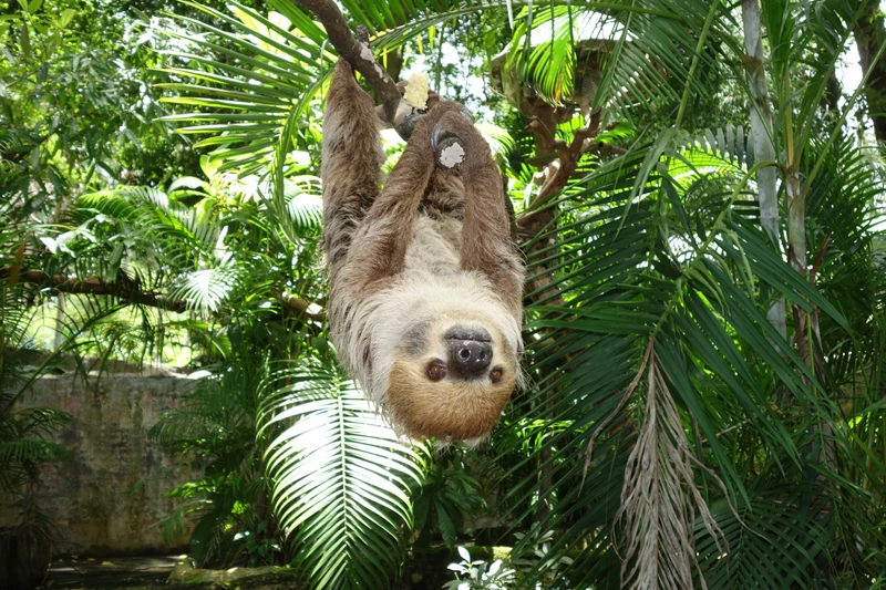В зоопарк Кхао Кхео - из Паттайи