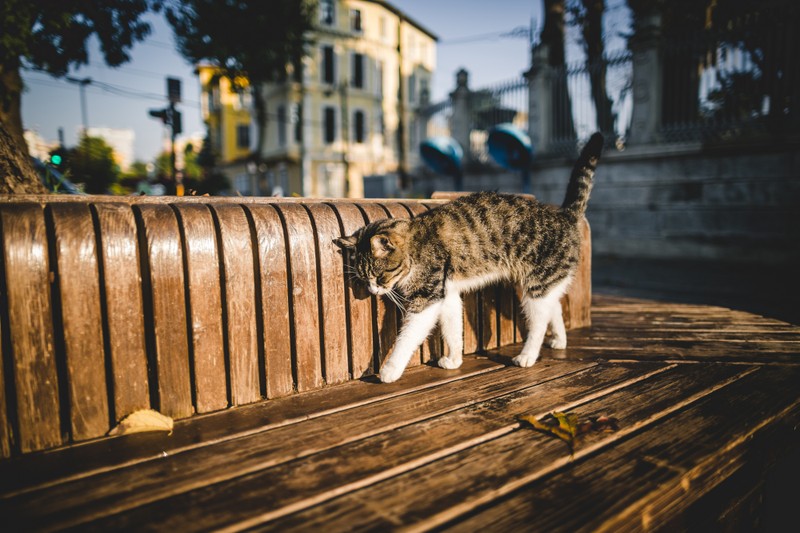 Фото экскурсии 9