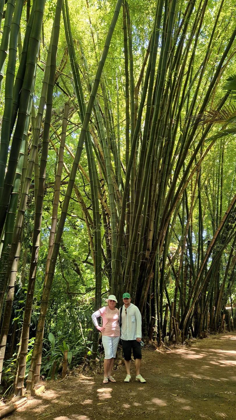 Отличная и познавательная экскурсия об острове Маврикий. Анна отличный гид, хорошо спланированный маршрут, включающий не туристические