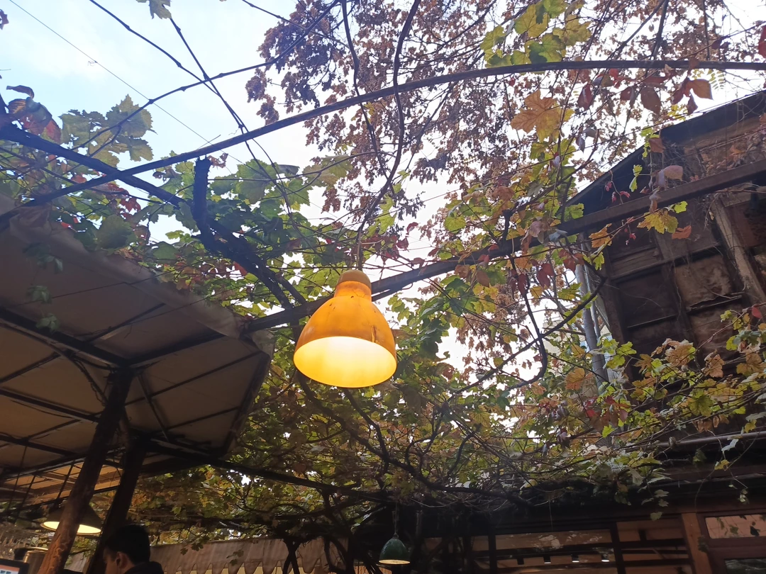 Арам,огромное спасибо за экскурсию,надеюсь мы вернёмся и посетим с вами район Конд)) до встречи в Ереване